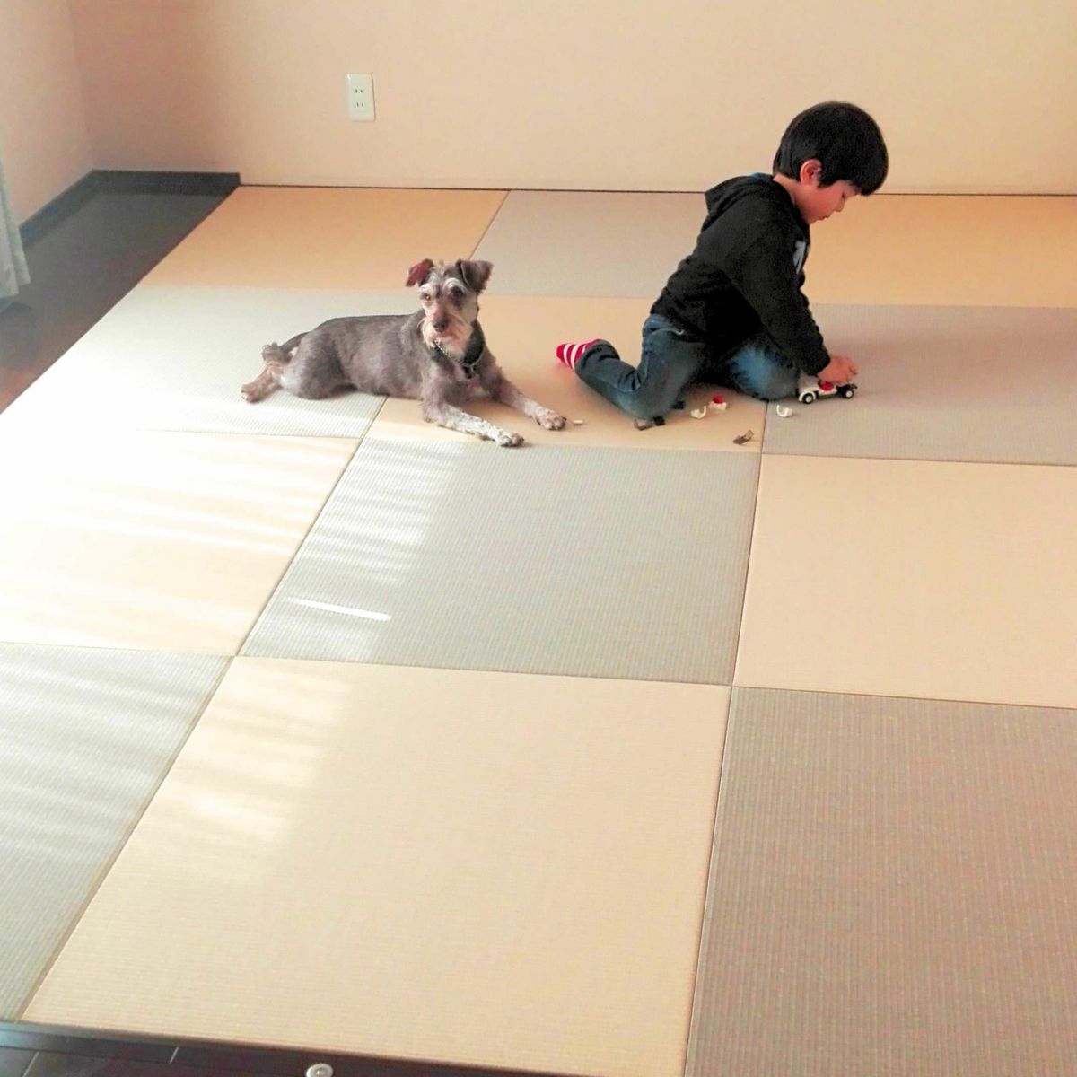 白茶色と灰桜色の2色使い-１