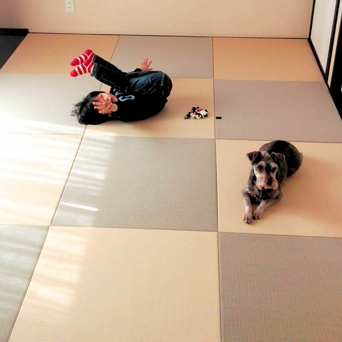 犬と清流　白茶色と灰桜色の2色使い