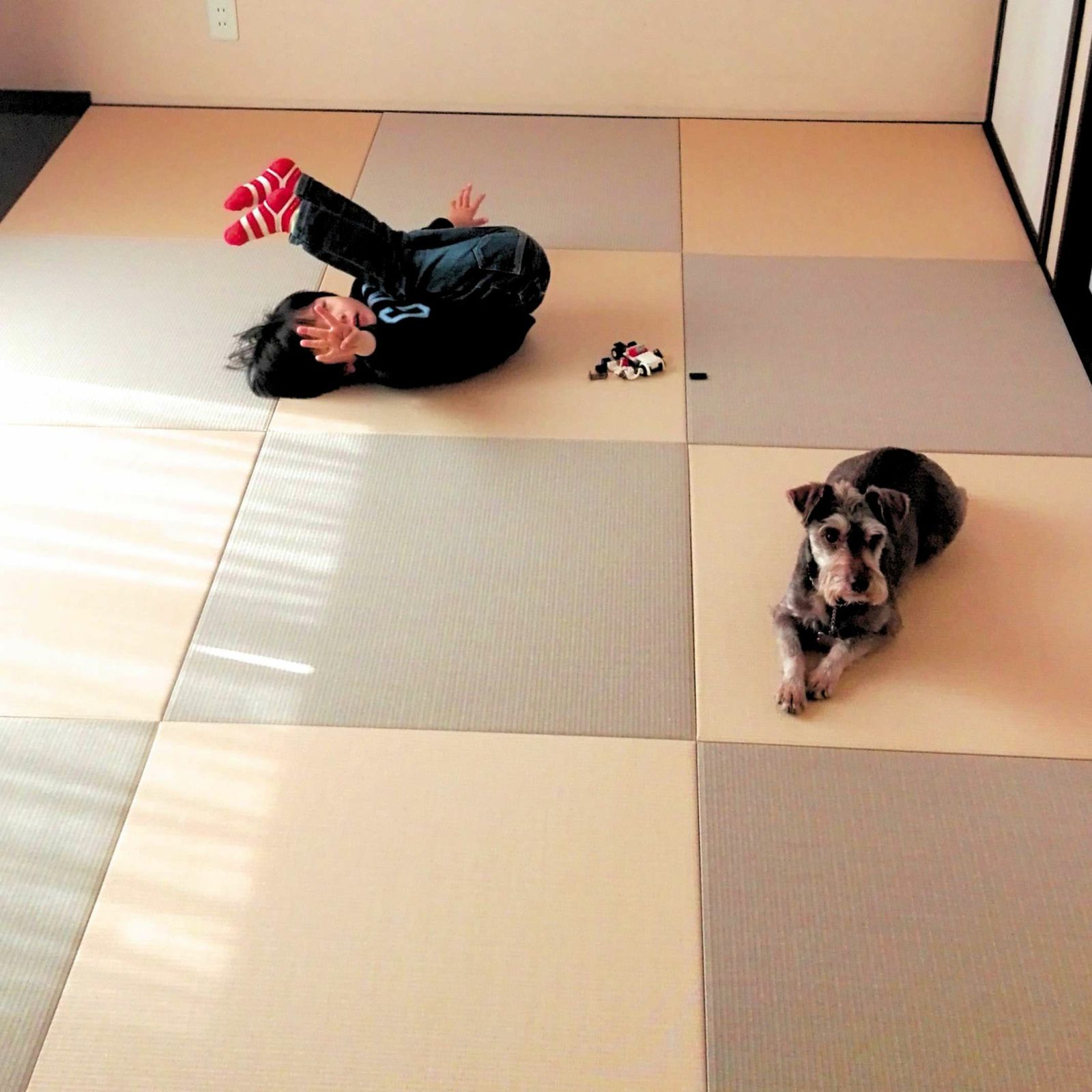 犬と清流　白茶色と灰桜色の2色使い