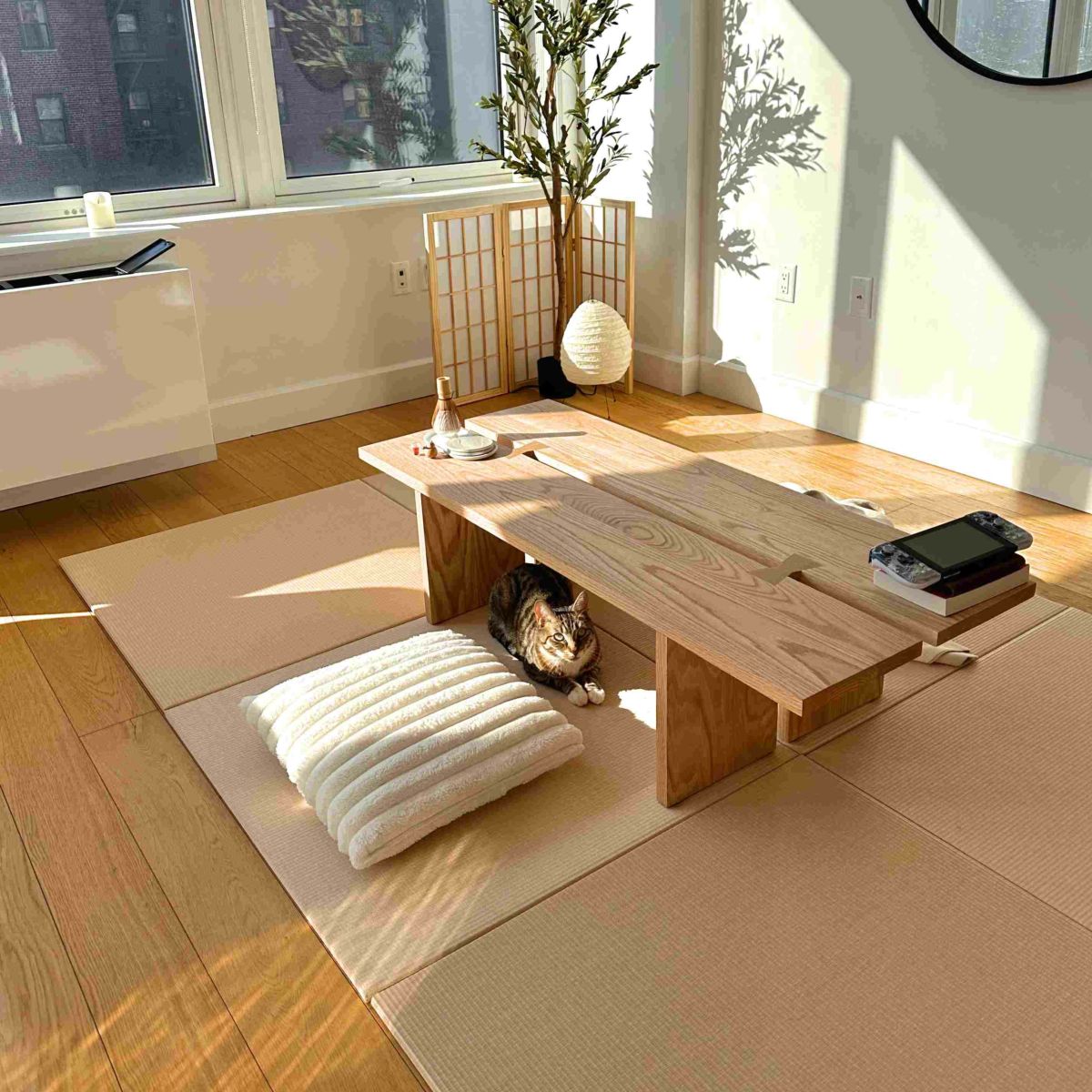 清流　白茶色　6枚セット　と猫